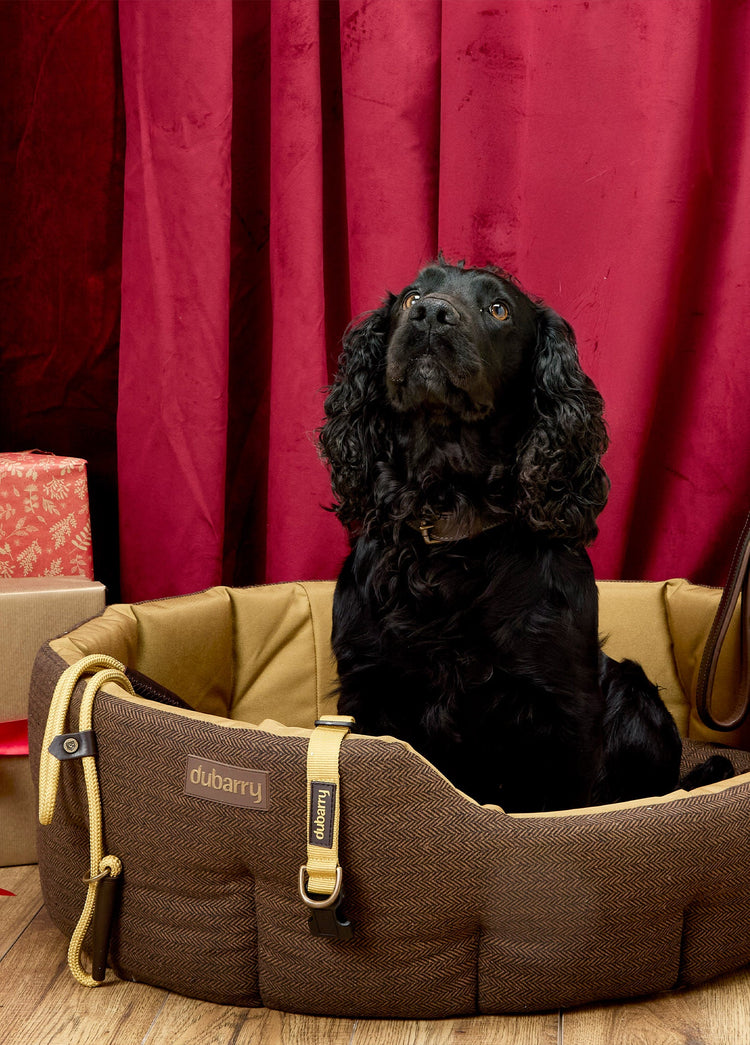 Buster Tweed dog bed - Mocha